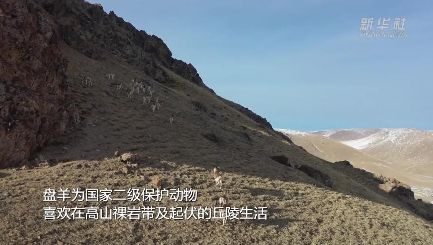 澳门资料大全澳门免费资料,原来甲醛超标身体是有症状的,最新热门解答落实_体验版V6.13