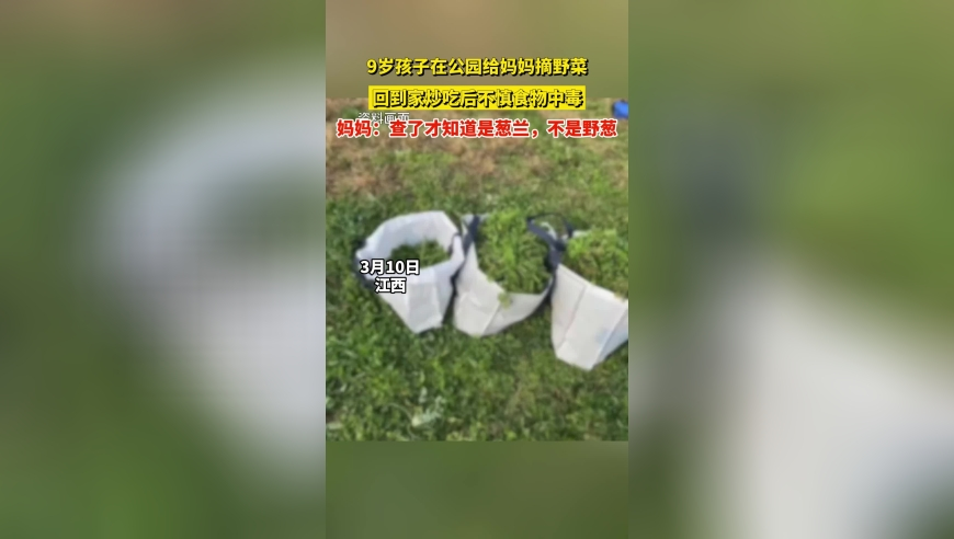 霍启刚谈与郭晶晶相识过程,雷锋澳门马传真,决策资料解释落实_高级版V10.46