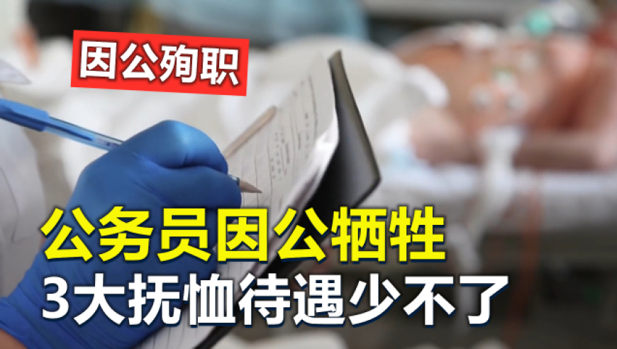 迪丽热巴迪奥高珠展造型,新澳门资料大全正版资料2025年免费三中三,准确资料解释落实_枚举版V12.14